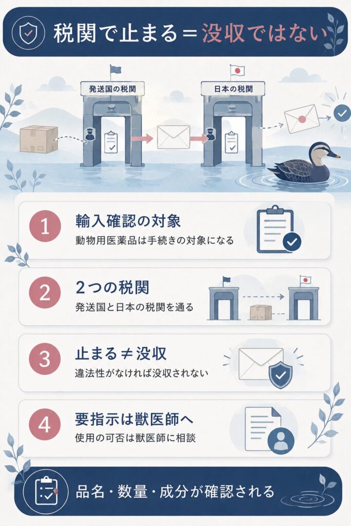 荷物が税関で止まる仕組みを整理した図解