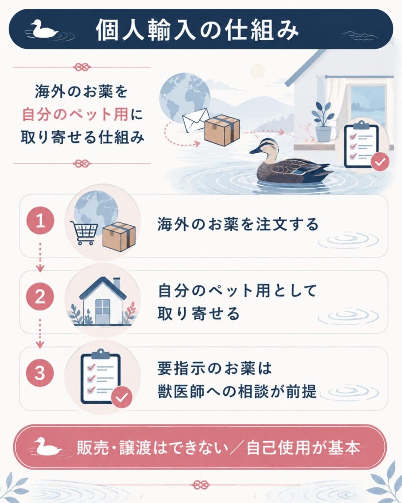 個人輸入で薬を取り寄せる仕組みを3段階で示した図
