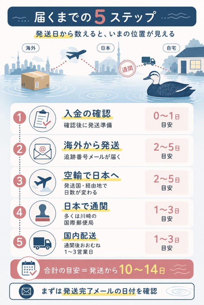 入金確認から到着までの配送5段階を示すフロー図