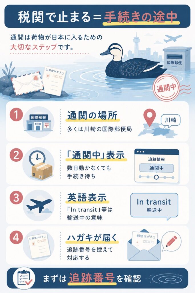 税関で荷物が止まる理由と対応を示した図解