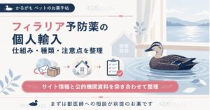 フィラリア予防薬の個人輸入の仕組みと注意点を整理した図